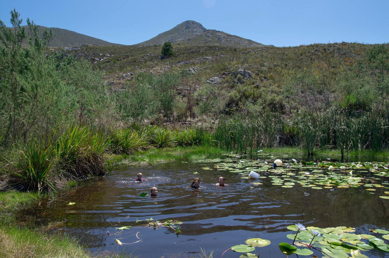 Phillipskop Mountain Reserve Stanford Extérieur photo