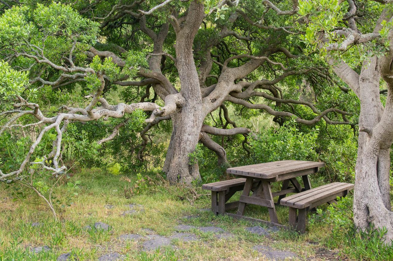 Phillipskop Mountain Reserve Stanford Extérieur photo